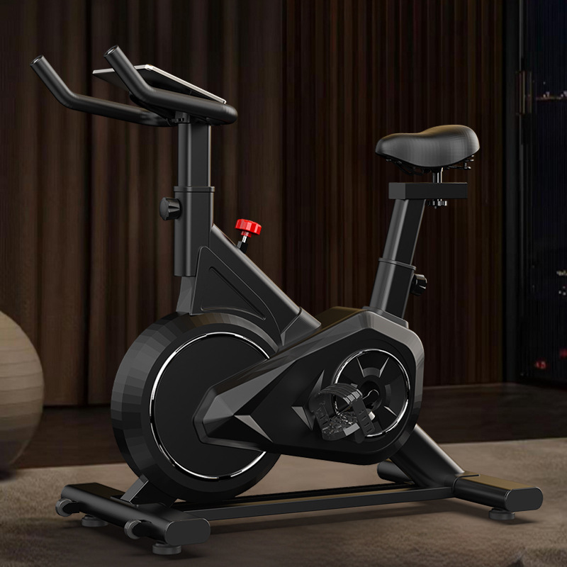 Intelligent Spinning Bike Home - Exercise Bike Magnetic Resistance ulasan dan harga