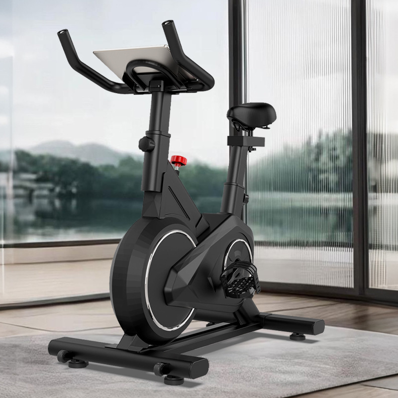 Intelligent Spinning Bike Home - Exercise Bike Magnetic Resistance ulasan dan harga